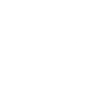 Bricsa